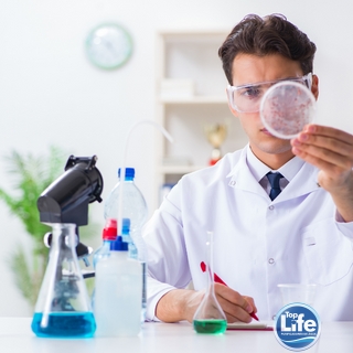 Pesquisas nas águas revelam que  existe contaminação por metais pesados Melhor Franquia Revenda de Filtro de Água Franquia para investir Investir em Franquia Microfranquia de Saude